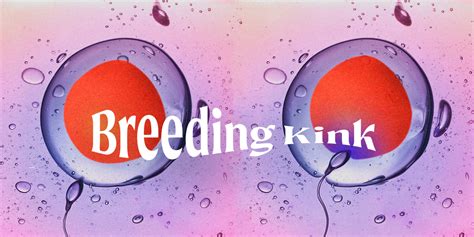 what is breeding in porn|What to know about breeding kink, where youre aroused by the。